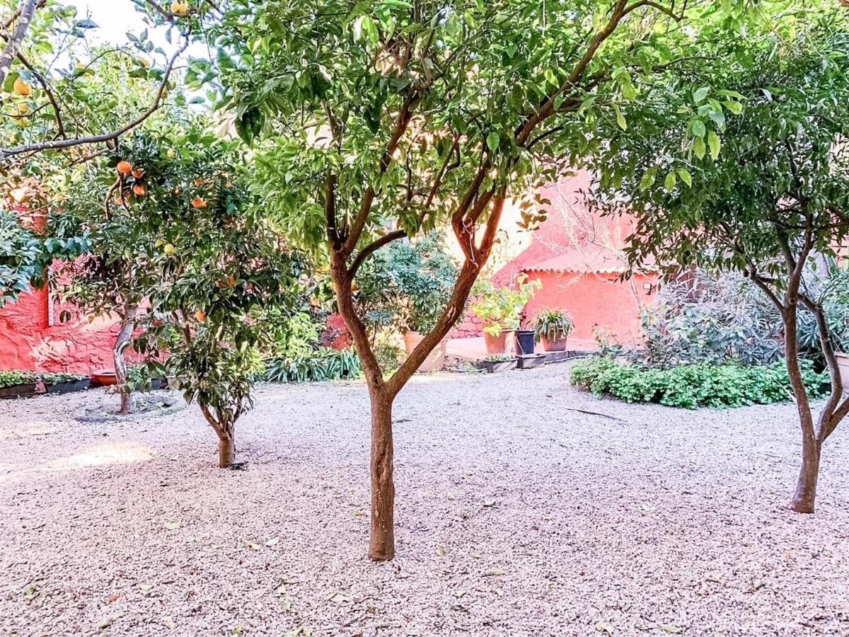 דירות אולביה Liguria Garden מראה חיצוני תמונה